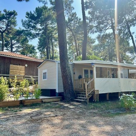 La Cabane Des Pins Lège-Cap-Ferret Zewnętrze zdjęcie