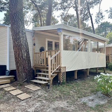 La Cabane Des Pins Lège-Cap-Ferret Zewnętrze zdjęcie