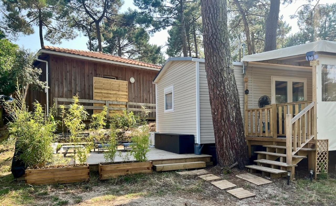La Cabane Des Pins Lège-Cap-Ferret Zewnętrze zdjęcie